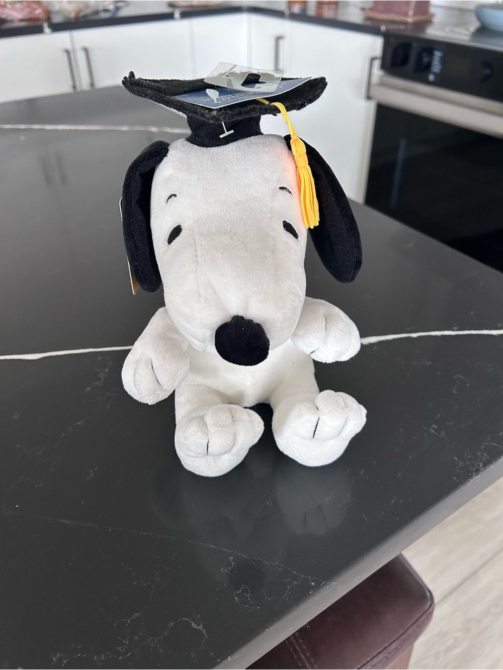 NWT Hallmark Peanuts Snoopy Graduation Plush Gift Card Holder Black Cap Tassel